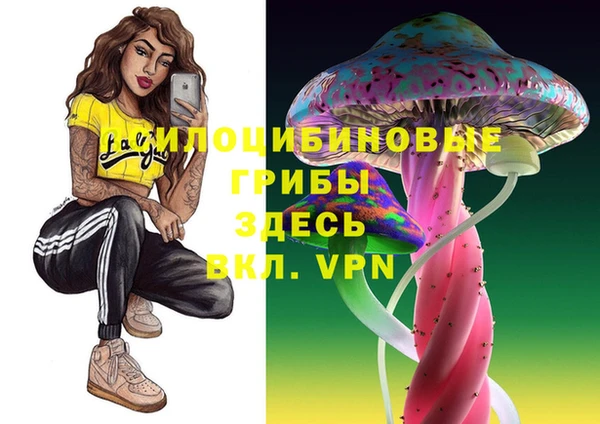 тгк Верхний Тагил