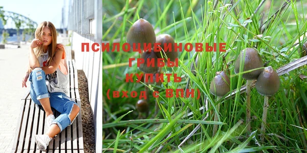 трава Верхнеуральск