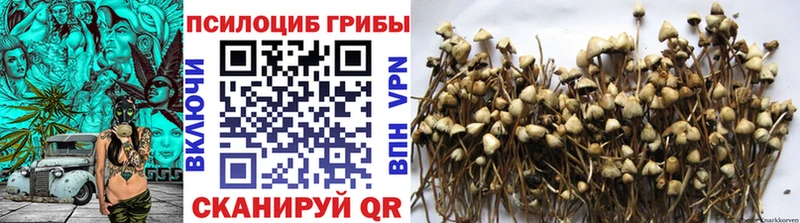 Галлюциногенные грибы Magic Shrooms  хочу   shop наркотические препараты  Нелидово 